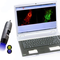 AM4115T-GRFBY 1.3MP 480nm/ 570nm GFP, MCherry (Discontinued/replaced by AF4115T-GRFBY