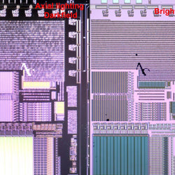 AM7515MT4A Coaxial Lighting, 5MP 400x