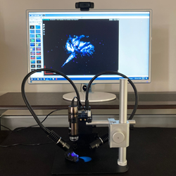 MSAK813-UW Flexible Adjustable UV 361nm & White LEDs attachment